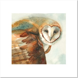 Barn Owl Sees You Posters and Art